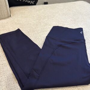 ZYIA Navy Leggings